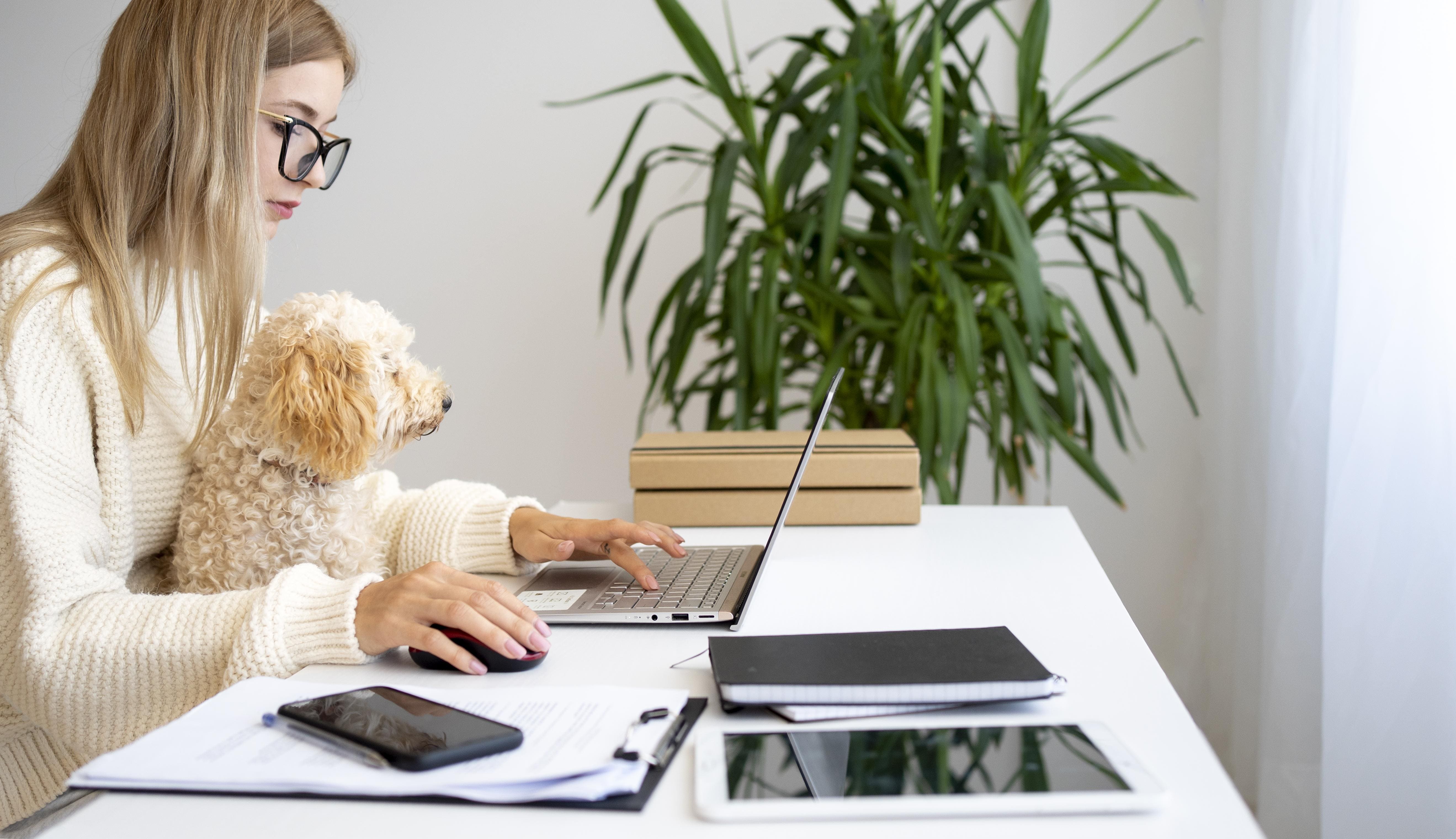 Frau arbeitet im Homeoffice mit Laptop und Hund auf dem Schoß – buchhaltung remote aus dem Homeoffice